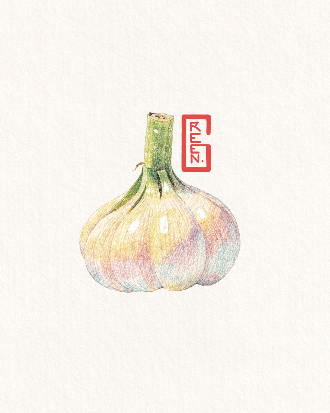 Garlic