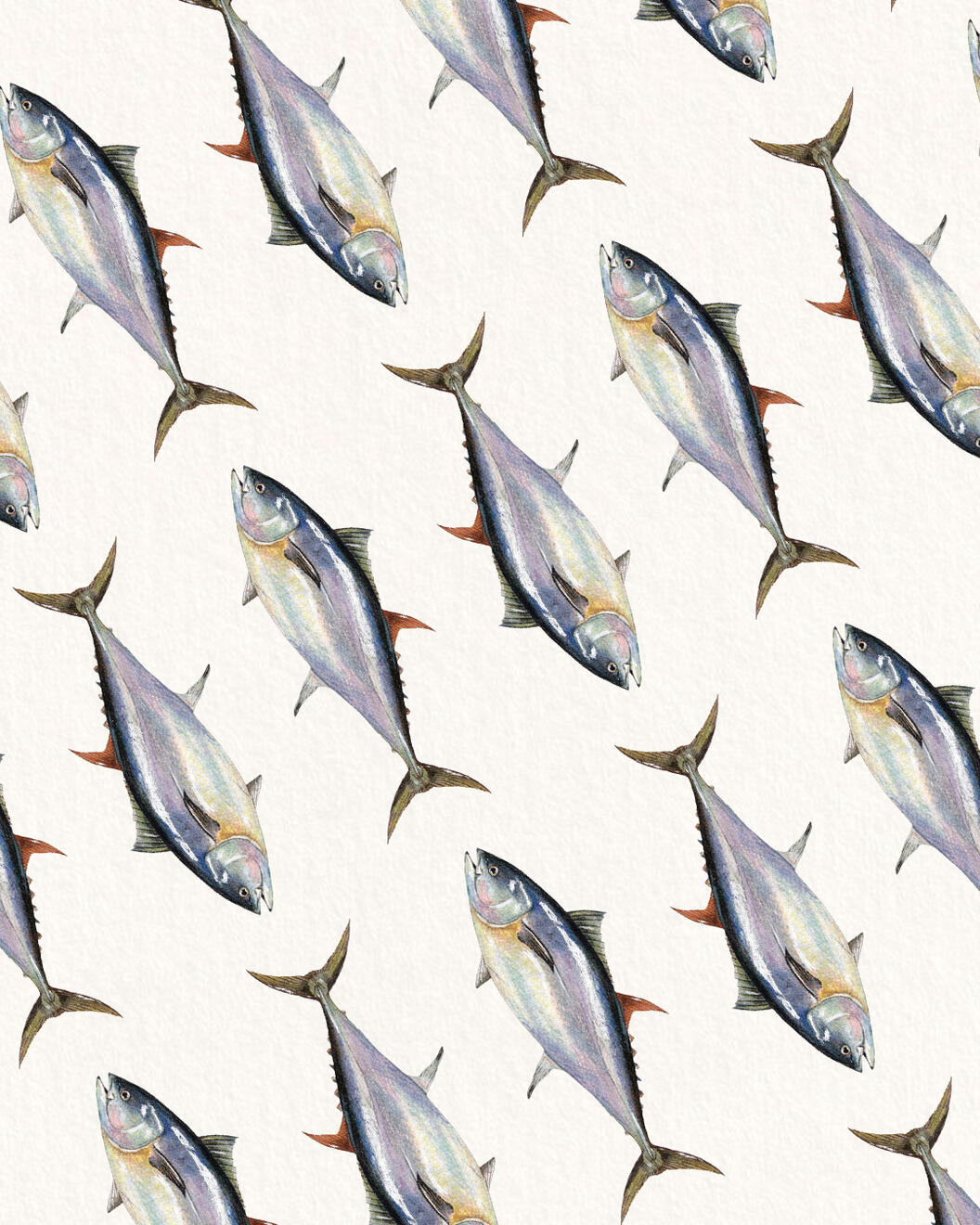 Lot of fish